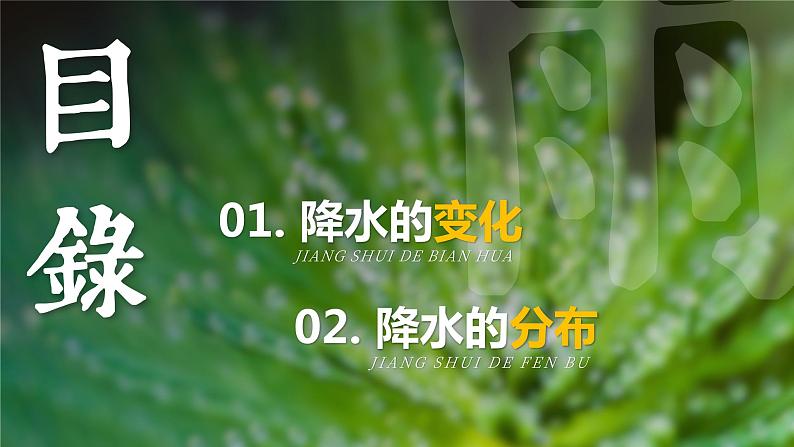 3.3《降水的变化与分布》课件第3页