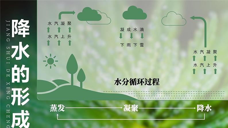 3.3《降水的变化与分布》课件第4页