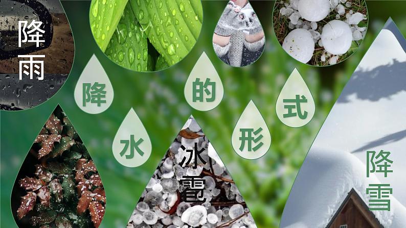 3.3《降水的变化与分布》课件第5页