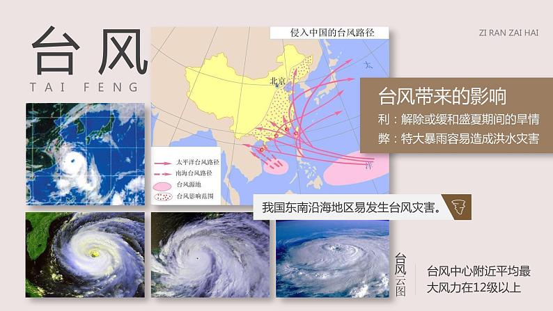 人教版（新课标）地理八上：2.4自然灾害课件PPT第8页