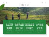 人教版（新课标）地理八上：4.2农业课件PPT