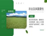 人教版（新课标）地理八上：4.2农业课件PPT