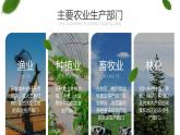 人教版（新课标）地理八上：4.2农业课件PPT