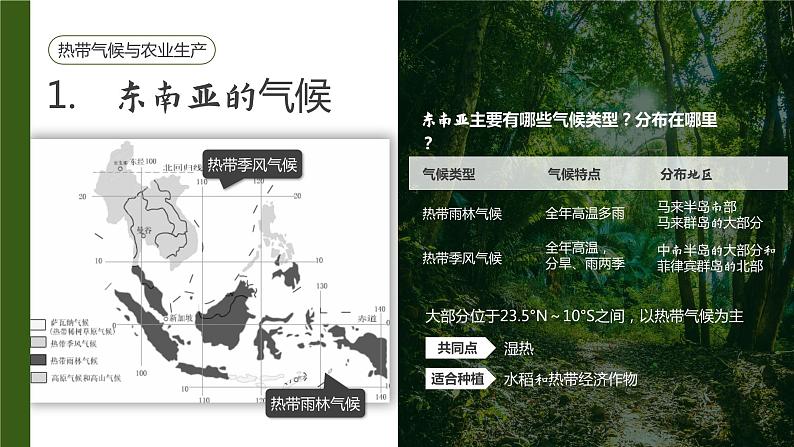 人教（新课标）七下：7.2《东南亚》课件第6页