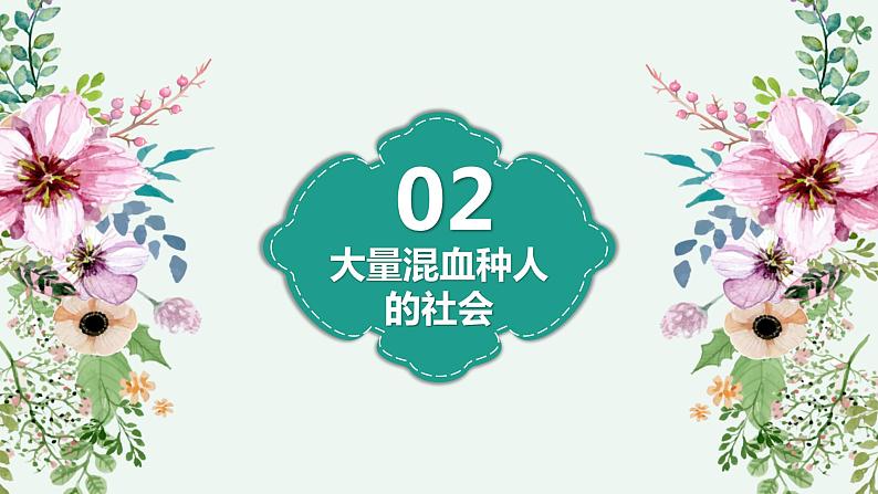 2023-2024学年人教版地理七年级下册第九章第二节《巴西》第一课时课件第6页