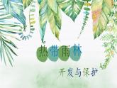 2023-2024学年人教版地理七年级下册第九章第二节《巴西》第二课时课件