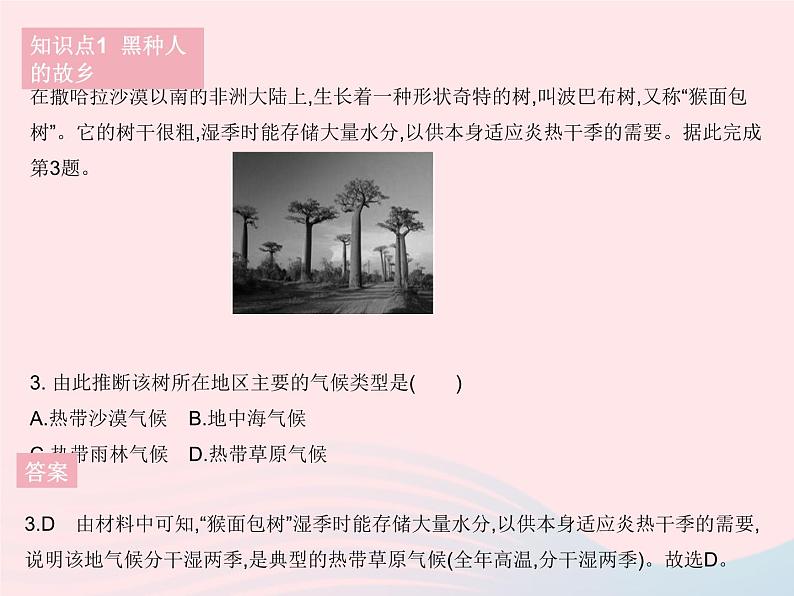 2023七年级地理下册第八章东半球其他的地区和国家第三节撒哈拉以南非洲作业课件新版新人教版05