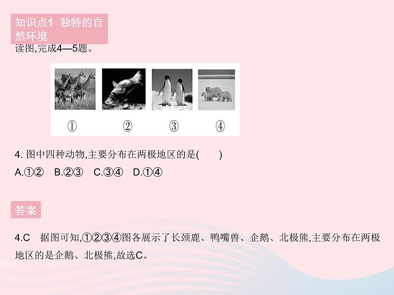 2023七年级地理下册第十章极地地区作业课件新版新人教版第6页