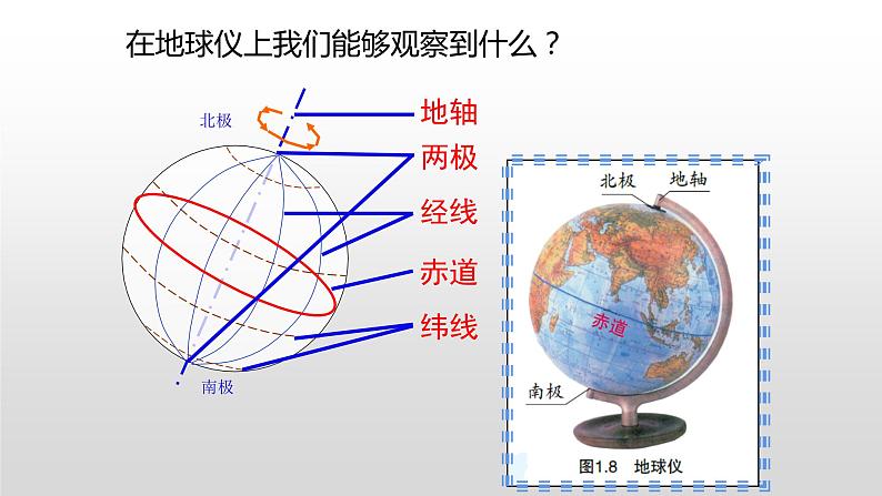 人教版七年级地理上册--1.1.2 纬线 经线和经纬网（精品课件）03