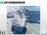 湘教版七年级地理上册课件 4.2.1 气温和降水