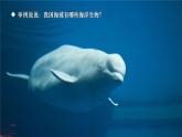 2023八年级地理上册第3章中国的自然资源第四节中国的海洋资源上课课件新版湘教版