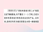 2023八年级地理上册专项四我国的农业特征及可持续发展作业课件新版湘教版