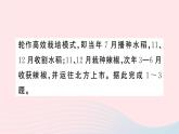 2023八年级地理上册专项四我国的农业特征及可持续发展作业课件新版湘教版