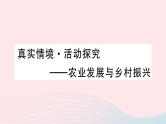 2023八年级地理上册第四章中国的主要产业真实情境活动探究__农业发展与农村振兴作业课件新版湘教版