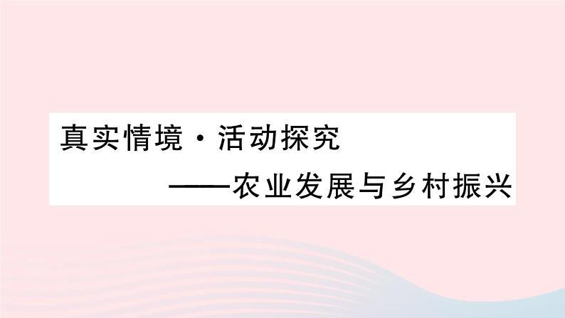 2023八年级地理上册第四章中国的主要产业真实情境活动探究__农业发展与农村振兴作业课件新版湘教版01