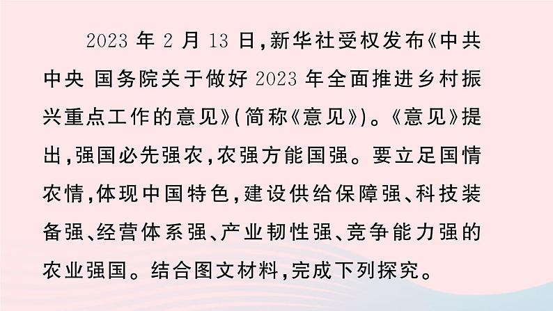 2023八年级地理上册第四章中国的主要产业真实情境活动探究__农业发展与农村振兴作业课件新版湘教版02