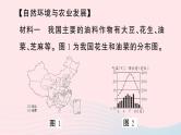 2023八年级地理上册第四章中国的主要产业真实情境活动探究__农业发展与农村振兴作业课件新版湘教版