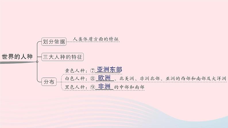 2023七年级地理上册第三章世界的居民知识总结作业课件新版湘教版第3页