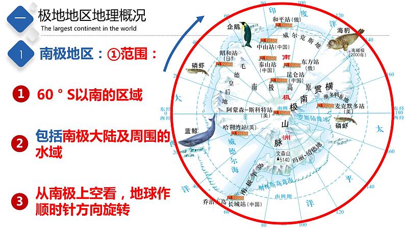 6.5  极地地区（精品课件）-八年级地理下册同步备课系列（中图版）第4页