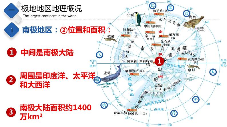 6.5  极地地区（精品课件）-八年级地理下册同步备课系列（中图版）第5页