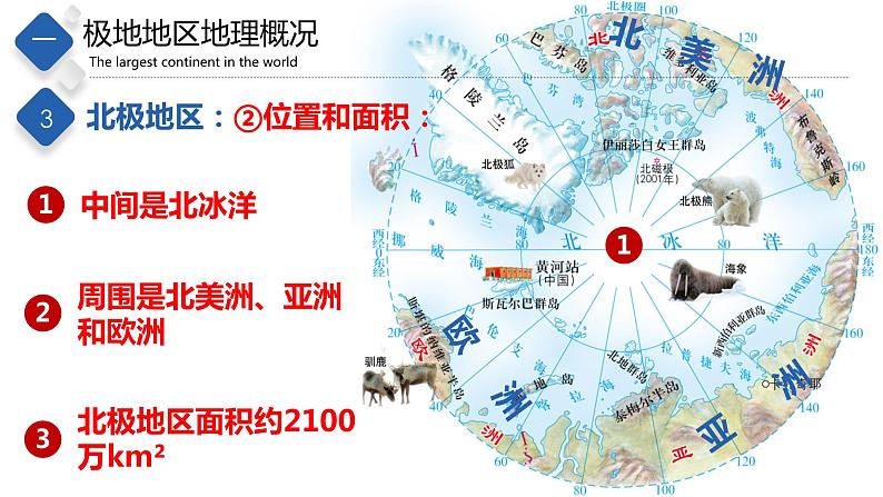 6.5  极地地区（精品课件）-八年级地理下册同步备课系列（中图版）第8页