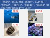 3.4中国的海洋资源课件