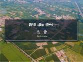 4.1农业课件