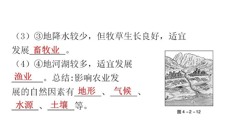 人教版八年级地理上册第四章第二节农业第二课时教学课件第6页