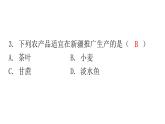人教版八年级地理上册第四章第二节农业第二课时分层作业课件