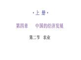 人教版八年级地理上册第四章第二节农业练习课件