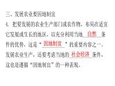 人教版八年级地理上册第四章第二节农业练习课件