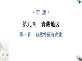 人教版八年级地理下册第九章第一节自然特征与农业教学课件