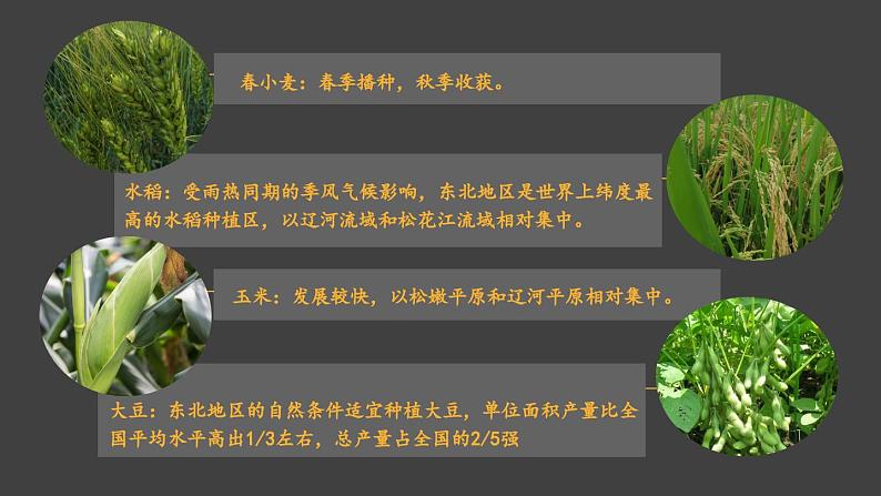 第三节 东北地区的产业分布第8页