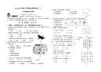 山东省青岛市崂山区育才学校2023-2024学年七年级上学期10月月考地理试题