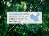 2.2.2 中国的气候（第2课时 降水和干湿地区）-2023-2024学年八年级上册地理课件（湘教版）