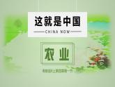 4.1+中国的农业-八年级地理上册同步精品课堂（粤人版）课件PPT