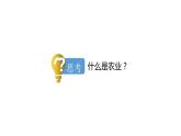 4.1+中国的农业-八年级地理上册同步精品课堂（粤人版）课件PPT