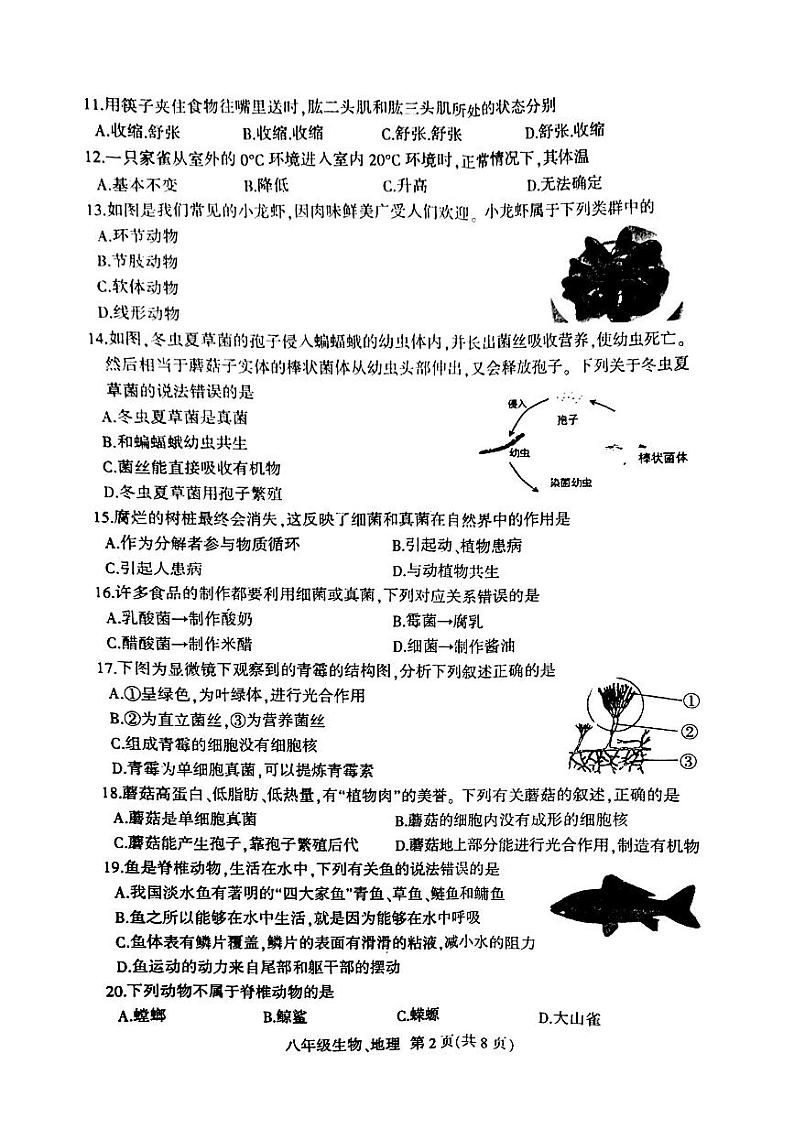 吉林省长春市德惠市2023-—2024学年上学期八年级地理 生物期中试卷第2页