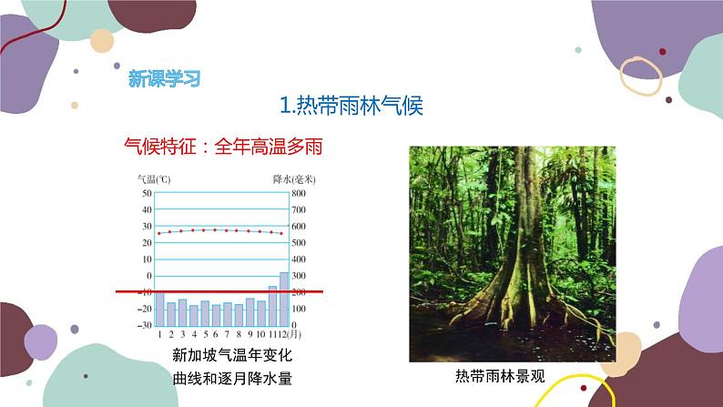 湘教版地理七年级上册 第四章 第四节  世界主要气候类型课件第7页