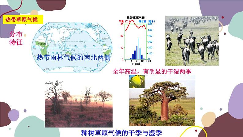 商务星球版地理七年级上册 第四章 第四节 第二课时  世界主要的气候类型课件05