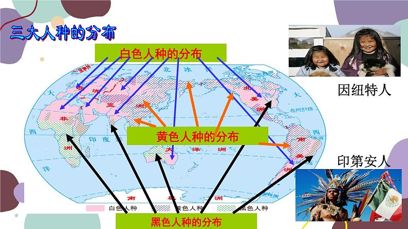 商务星球版地理七年级上册 第五章 第二节  世界的人种、语言和宗教课件第7页