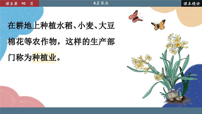 人教版地理八年级上册 4.2 农业课件第5页