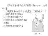 湘教版地理七年级下册第七章了解地区第二节南亚第二课时作业课件