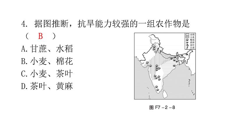 湘教版地理七年级下册第七章了解地区第二节南亚第二课时作业课件第5页