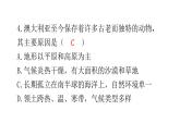 湘教版地理七年级下册第八章走近国家第七节澳大利亚作业课件