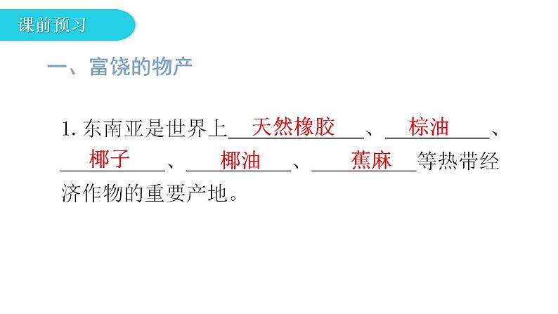 湘教版地理七年级下册第七章了解地区第一节东南亚第二课时课件03