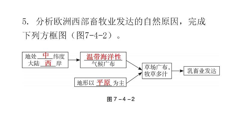 湘教版地理七年级下册第七章了解地区第四节欧洲西部课件第8页