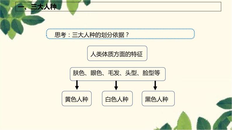 商务星球版地理七年级上册 5.2 世界的人种、语言和宗教课件04