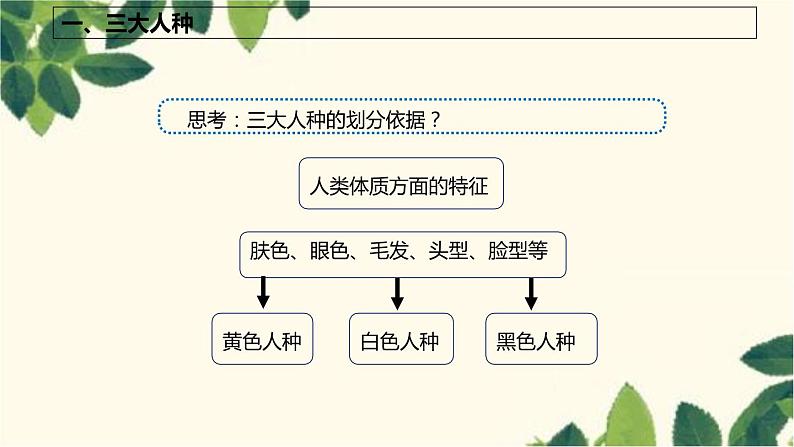 商务星球版地理七年级上册 5.2 世界的人种、语言和宗教课件第4页