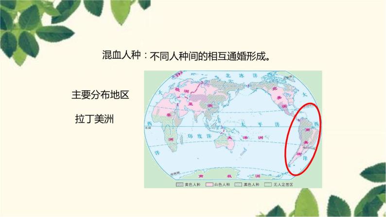 商务星球版地理七年级上册 5.2 世界的人种、语言和宗教课件05